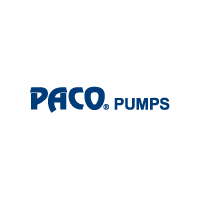 Paco Pumps